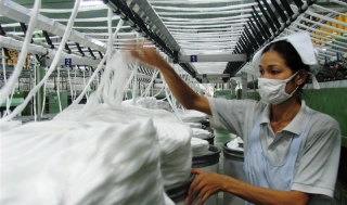 Vietnam Textile and Garment Industry With Domestic Market