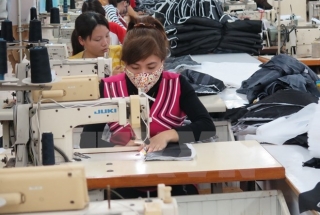 Textile enterprises conquer the domestic market